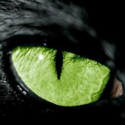 Profile Picture of Daniel Kasprzyk (@The0ne4Ev3r) on Twitter