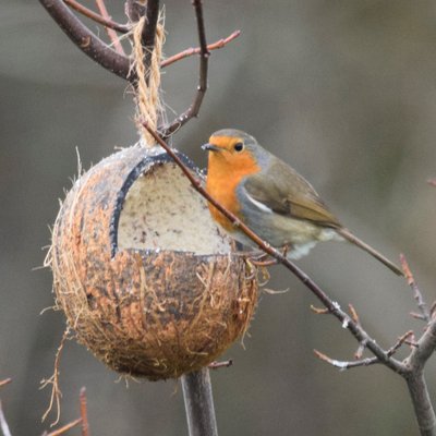 Profile Picture of Alstone Wildlife (@AlstoneWildlife) on Twitter