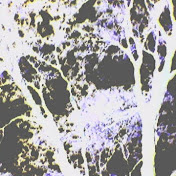 Profile Picture of Whitney Carter (@whitneycarter1563) on Youtube