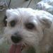 Profile Picture of Jim Patete Jr. (@jimpat37) on Pinterest