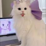 Profile Picture of Jerry Jerry Chopper (@jerry.jerry.chopper) on Facebook