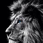 Profile Picture of David Kelbert (@kelbert.d) on Instagram