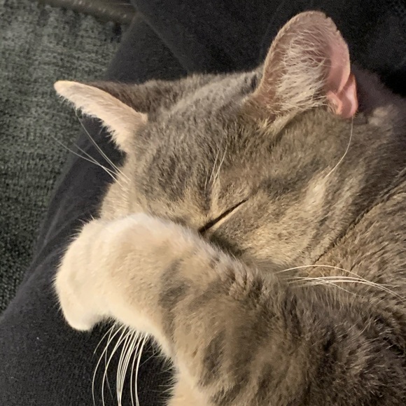 Profile Picture of Jodi Bifaro (@miksmommy326) on Poshmark