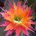 Profile Picture of Walter Bartsch (@Walter-Bartsch) on Facebook