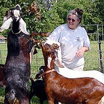 Pat Allen - Flickr Profile Picture of Pat Allen (@dogs, cats, goats, horses, bees, and gardening) on Flickr