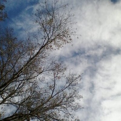 Profile Picture of Heather (@heather_pullam) on Twitter