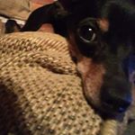 Profile Picture of Betty McKinney (@betty.mckinney.3367) on Instagram