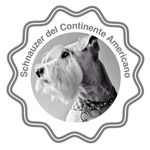 Profile Picture of Schnauzer Del Continente Americano (@schnauzer_continente_americano) on Instagram