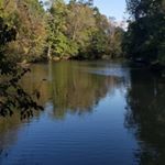 Profile Picture of Joseph Altobelli (@fingitalian) on Instagram