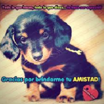 Profile Picture of Camila Sumbay (@CamilaSumbay) on Twitter