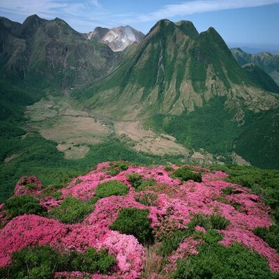 Profile Picture of Jonathan Trimble (@murwitbason) on Twitter