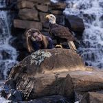 Profile Picture of Amanda Sweeney (@offtheglove) on Instagram