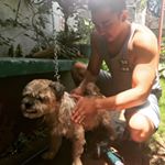 Profile Picture of Joseph Basil (@grumpy_old_man_13) on Instagram