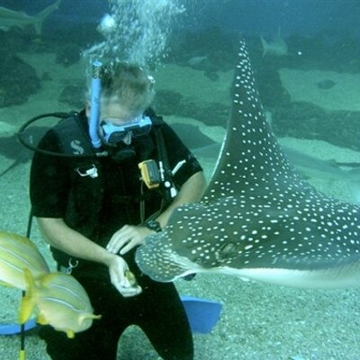 Profile Picture of Stephen C. Snider (@lodilaw) on Twitter