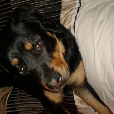 Profile Picture of Stuart Hann (@stu0312) on Twitter