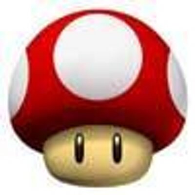 Profile Picture of Mario Rojas (@elgorrionrojo) on Twitter