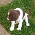 Profile Picture of James Prowse (@indie_2012) on Instagram