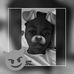 Profile Picture of Ayesha Albert (@ayesha.albert.5) on Facebook