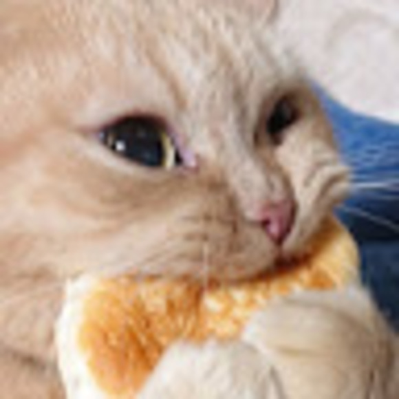 Profile Picture of Jeff Tsui (@jjccff119) on Poshmark