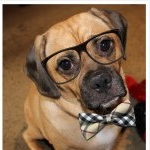 Profile Picture of Max Power (@mr_maxpower_) on Instagram