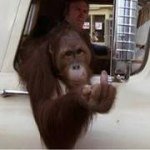 Profile Picture of Danny Ibarra (@ibarra805) on Instagram