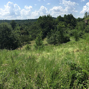 Profile Picture of Zach Reeves (@zachreeves6229) on Youtube