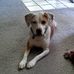Profile Picture of Peggy Kephart (@Peggy-Kephart) on Facebook