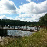 Profile Picture of shelly.benson (@shelly.benson) on Instagram