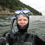 Profile Picture of Steve DeMoney (@steve.demoney) on Instagram