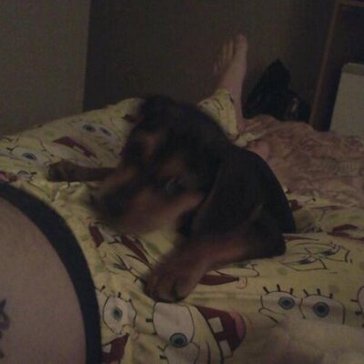 Profile Picture of Elizabeth Bitner (@EnBitner) on Twitter