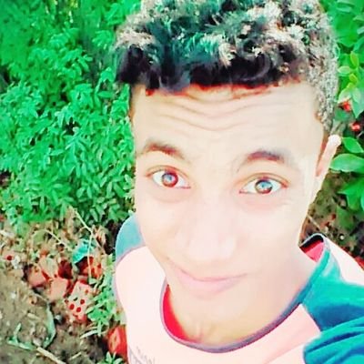 Profile Picture of Amr Hamza (@amrhamza7332095) on Twitter