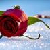 Profile Picture of Benjamin Sakar (@benjamin.sakar.1) on Facebook