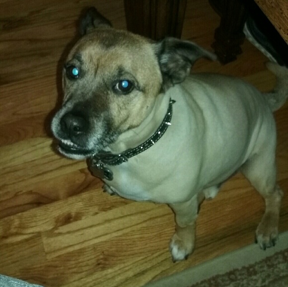 Profile Picture of Lisa Draper (@lisaandozzy1) on Poshmark