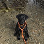 Profile Picture of @Indieshellfish (@baerdenniston) on Instagram