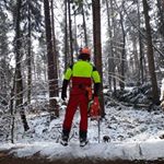 Profile Picture of Karl Heinz (@jan.seifert97) on Instagram