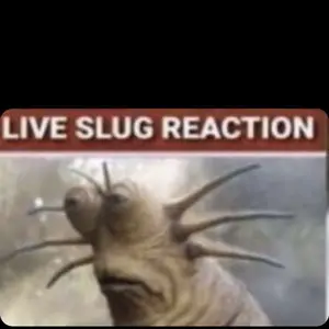 Profile Picture of   Michael Pryor... (@michaelpryor81) on Tiktok