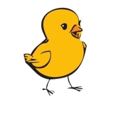 Profile Picture of Anne Kern-Barrett (@Wandering_Chick) on Twitter