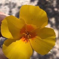 Profile Picture of Crystal Keck (@crystal-keck-3) on Quora