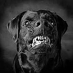 Profile Picture of Grippar2000 (@grippar2000) on Flickr