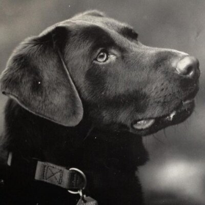 Profile Picture of Van Patterson (@van_patterson) on Twitter