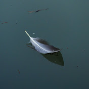 Profile Picture of Peter Koska (@peterkoska3276) on Youtube