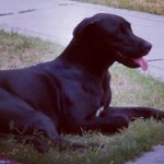 Profile Picture of Jason Gilkey (@jasongilkey) on Instagram