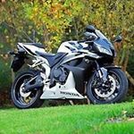 Profile Picture of Davidek Dosek (@davidekdosek) on Instagram