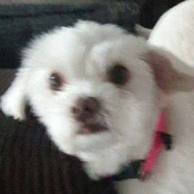 Profile Picture of Jacob V. (@j67warman) on Twitter