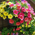 Profile Picture of Michael Korb (@korb7472) on Instagram