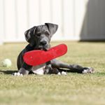 Profile Picture of Brady Tait (@brady.t.87) on Instagram