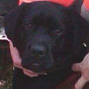 Profile Picture of John Vanloon (@j4hunt) on Pinterest