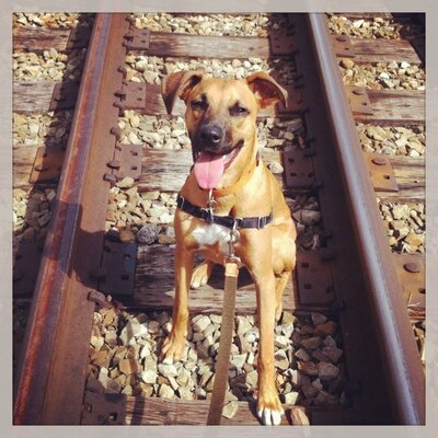 Profile Picture of David DiLeonardo (@dileonardo34) on Twitter