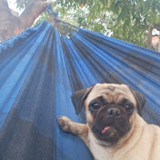 Profile Picture of Jorge Luis (@Jorgeluischambichura-q6m) on Youtube