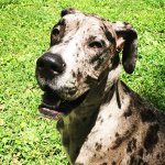 Profile Picture of Rosalee Dane Dunlap (@rosaleedunlap) on Instagram